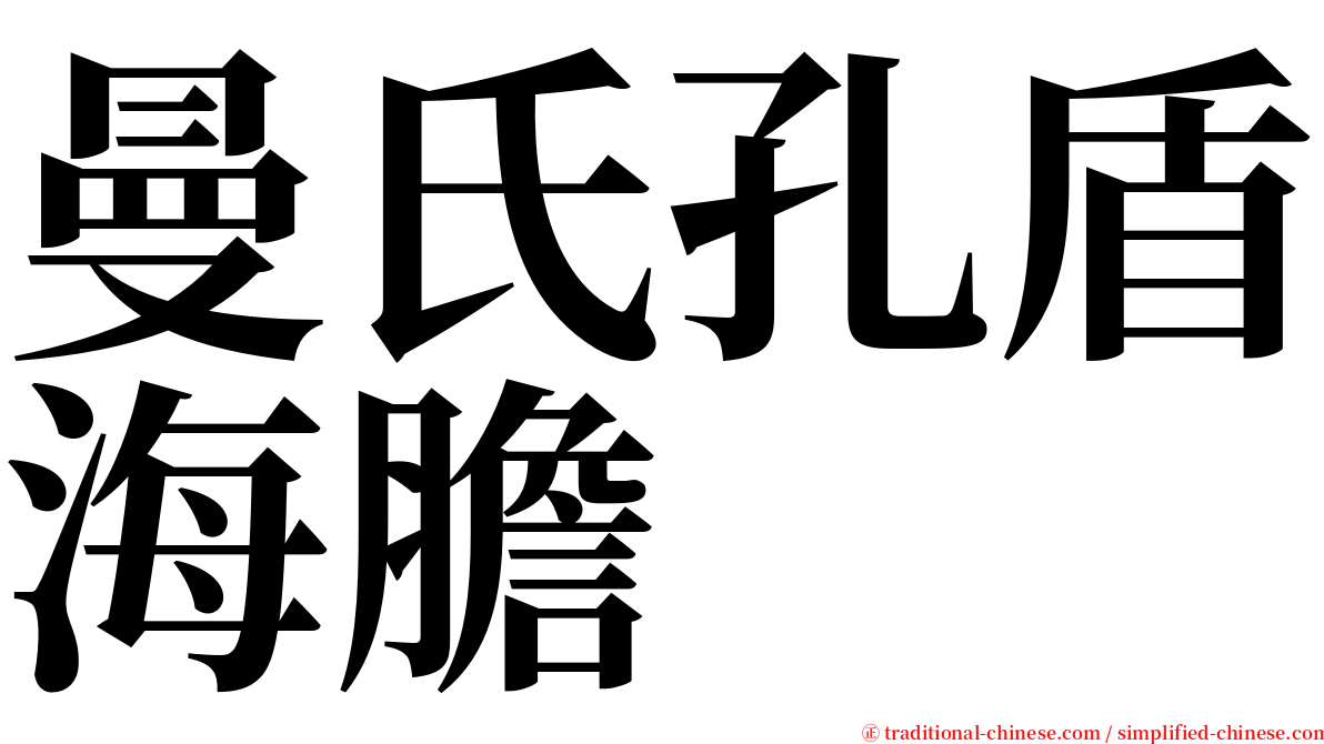 曼氏孔盾海膽 serif font