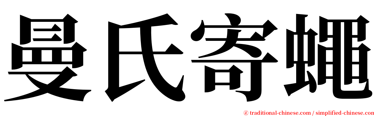 曼氏寄蠅 serif font