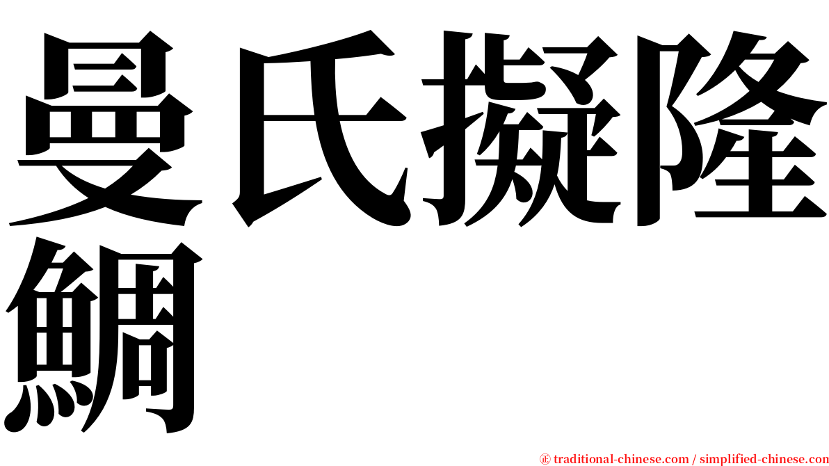 曼氏擬隆鯛 serif font