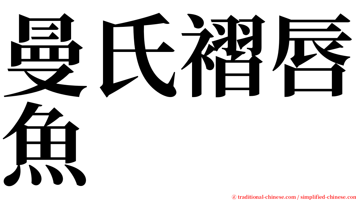 曼氏褶唇魚 serif font