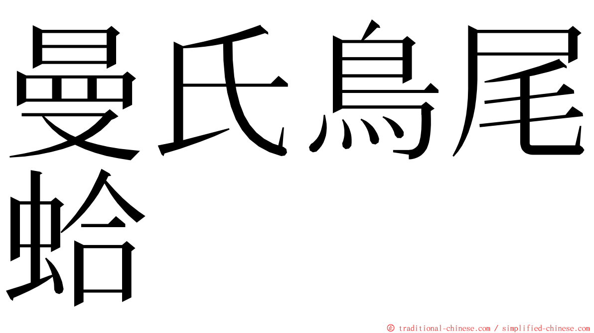 曼氏鳥尾蛤 ming font