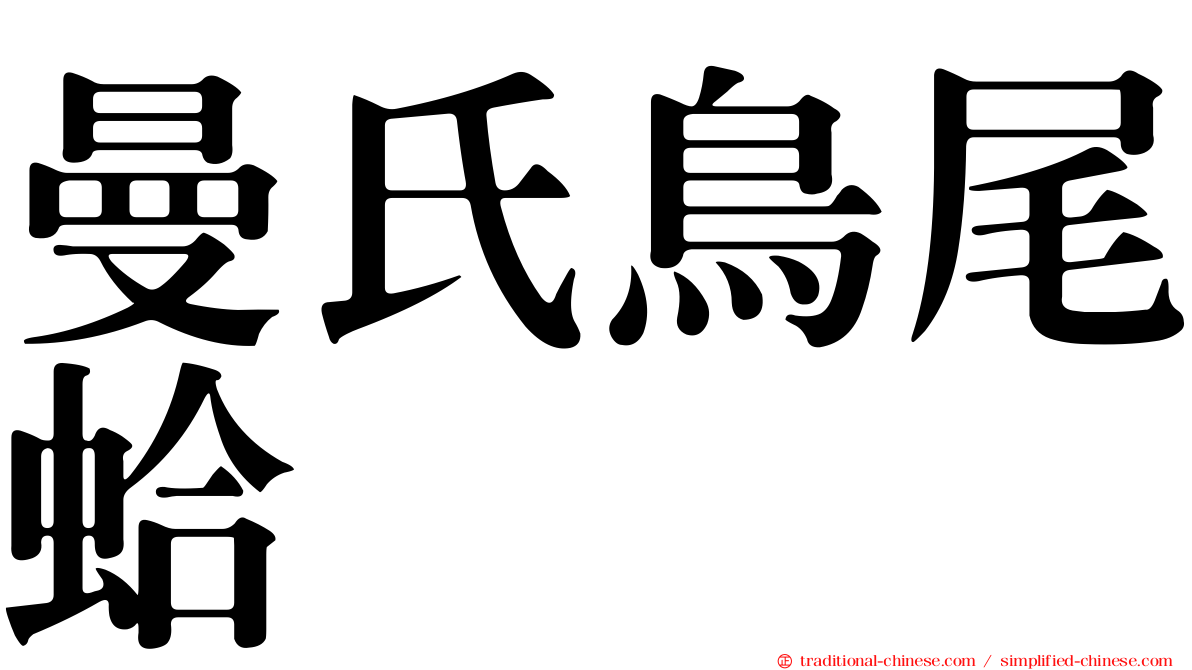 曼氏鳥尾蛤