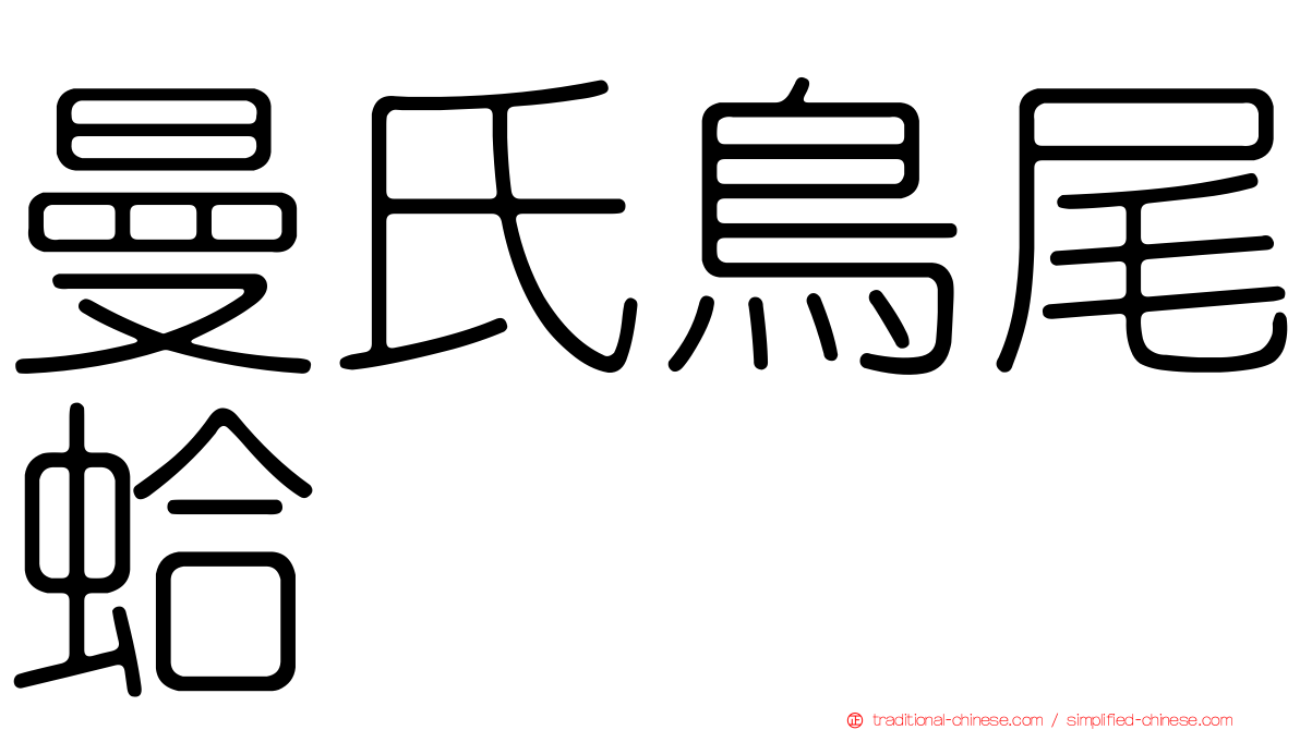 曼氏鳥尾蛤