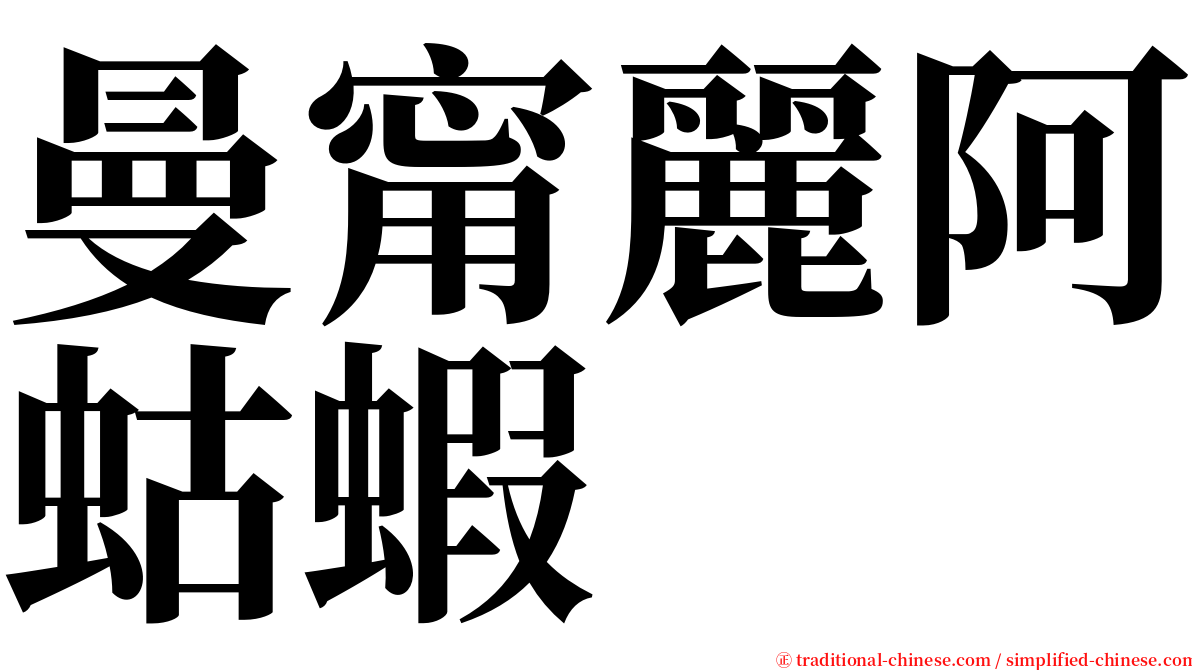 曼甯麗阿蛄蝦 serif font