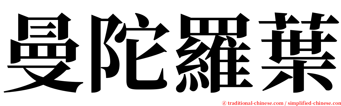 曼陀羅葉 serif font