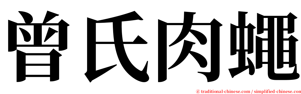 曾氏肉蠅 serif font