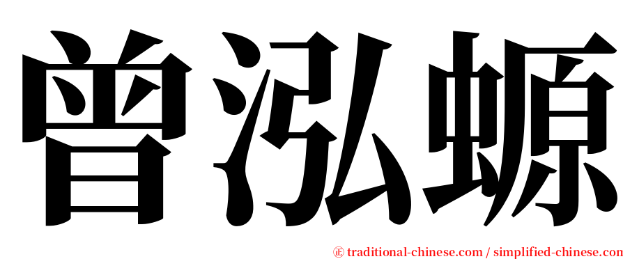 曾泓螈 serif font