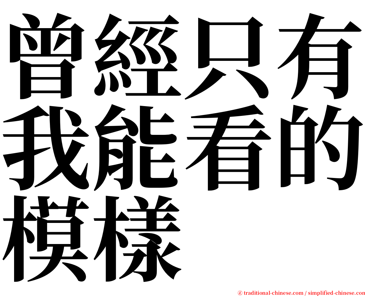 曾經只有我能看的模樣 serif font