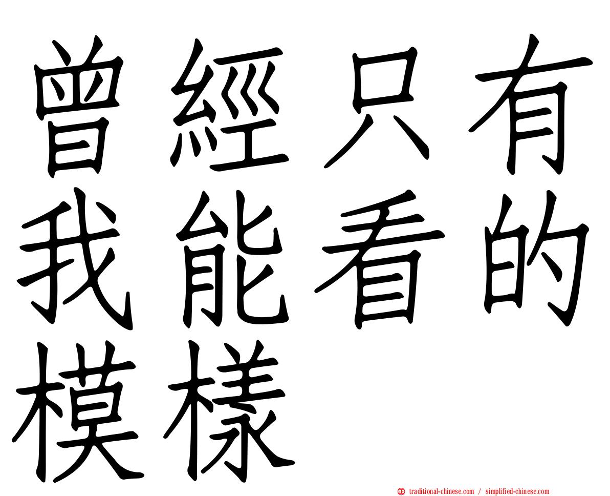 曾經只有我能看的模樣