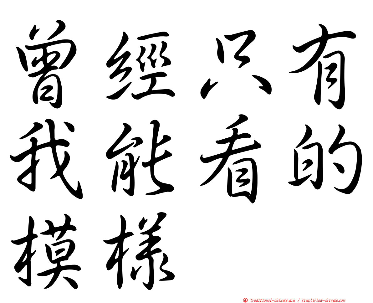 曾經只有我能看的模樣