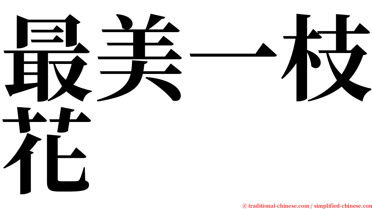 最美一枝花 serif font