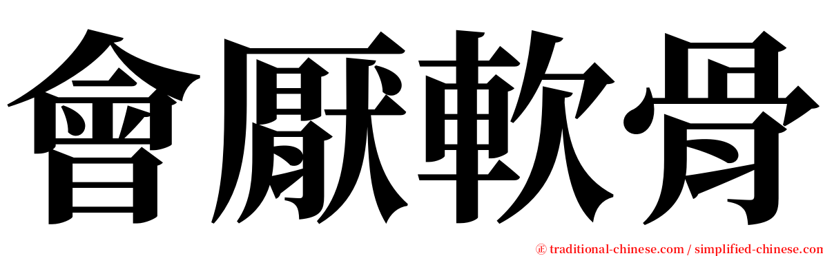 會厭軟骨 serif font