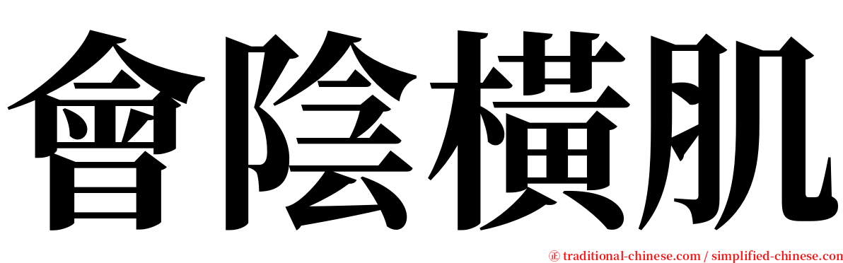 會陰橫肌 serif font