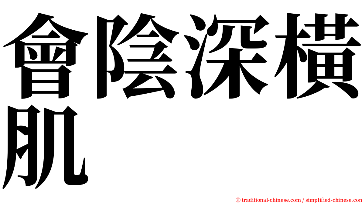 會陰深橫肌 serif font