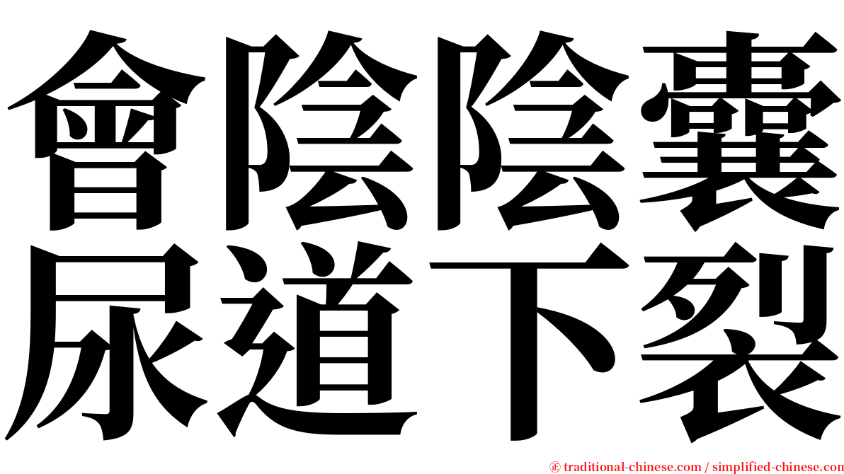 會陰陰囊尿道下裂 serif font