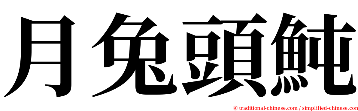 月兔頭魨 serif font