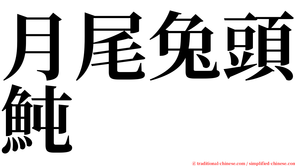 月尾兔頭魨 serif font