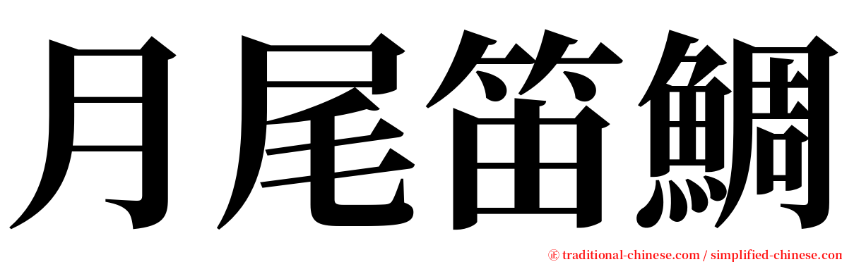 月尾笛鯛 serif font