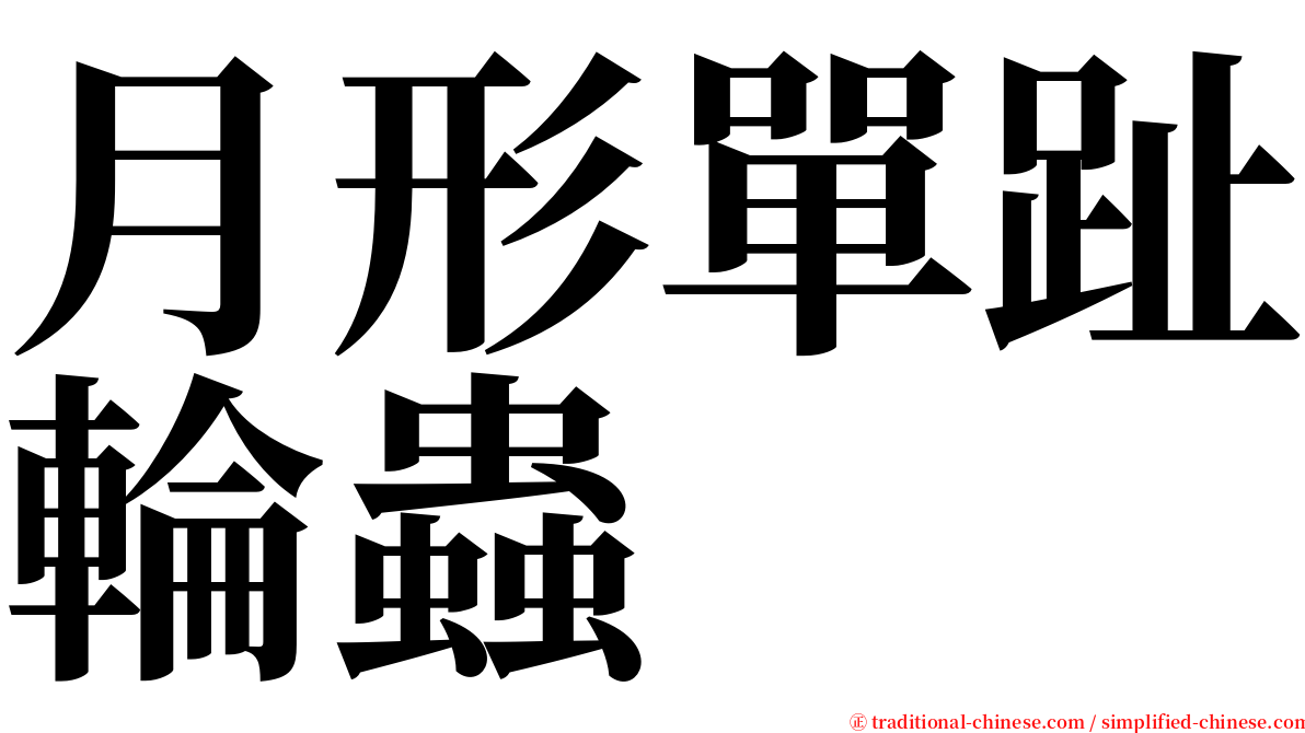 月形單趾輪蟲 serif font