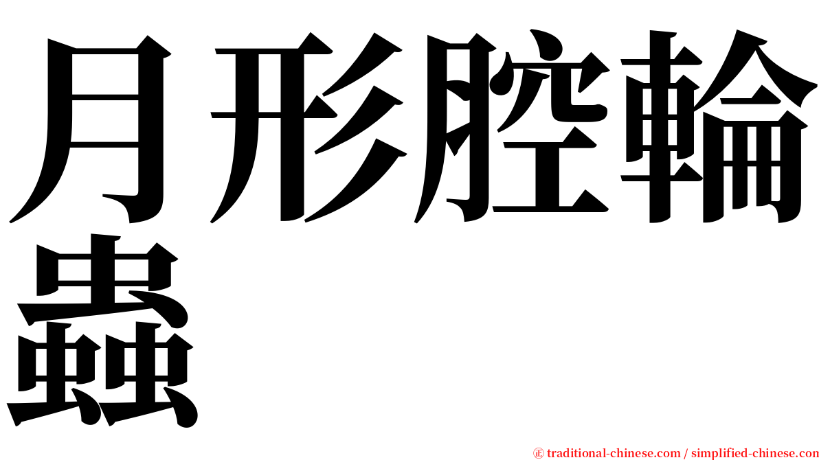 月形腔輪蟲 serif font