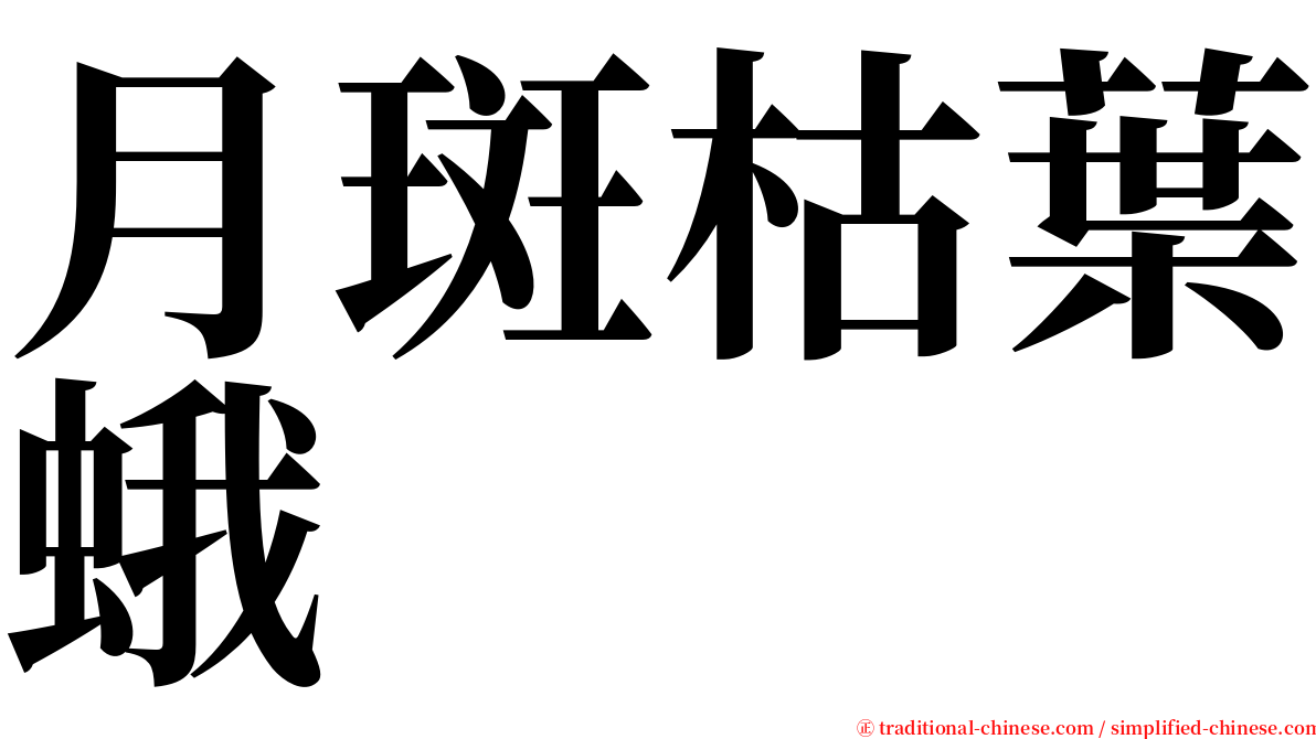 月斑枯葉蛾 serif font