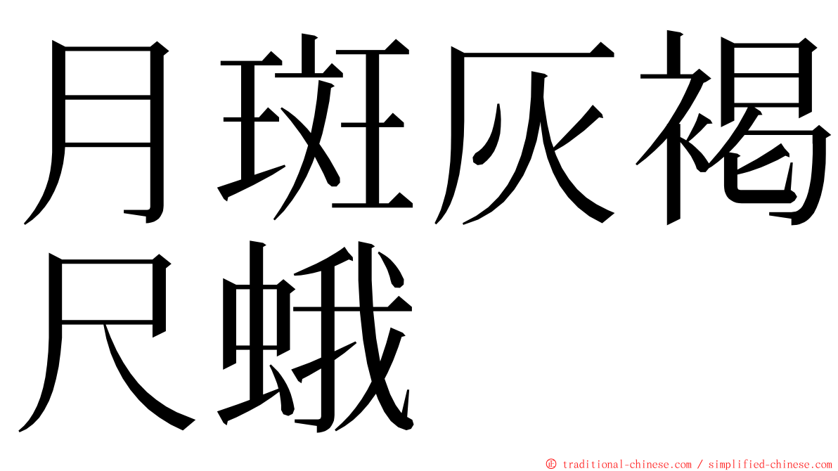 月斑灰褐尺蛾 ming font