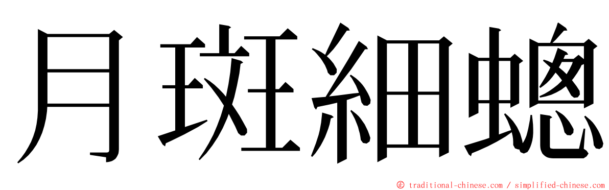 月斑細蟌 ming font