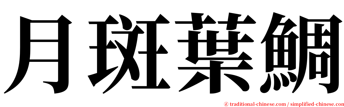 月斑葉鯛 serif font