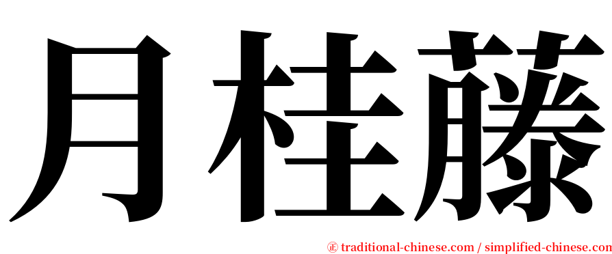 月桂藤 serif font