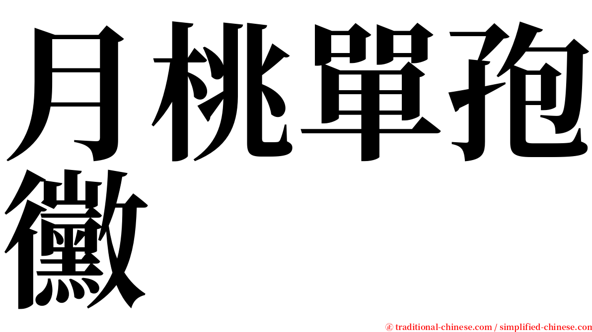 月桃單孢黴 serif font