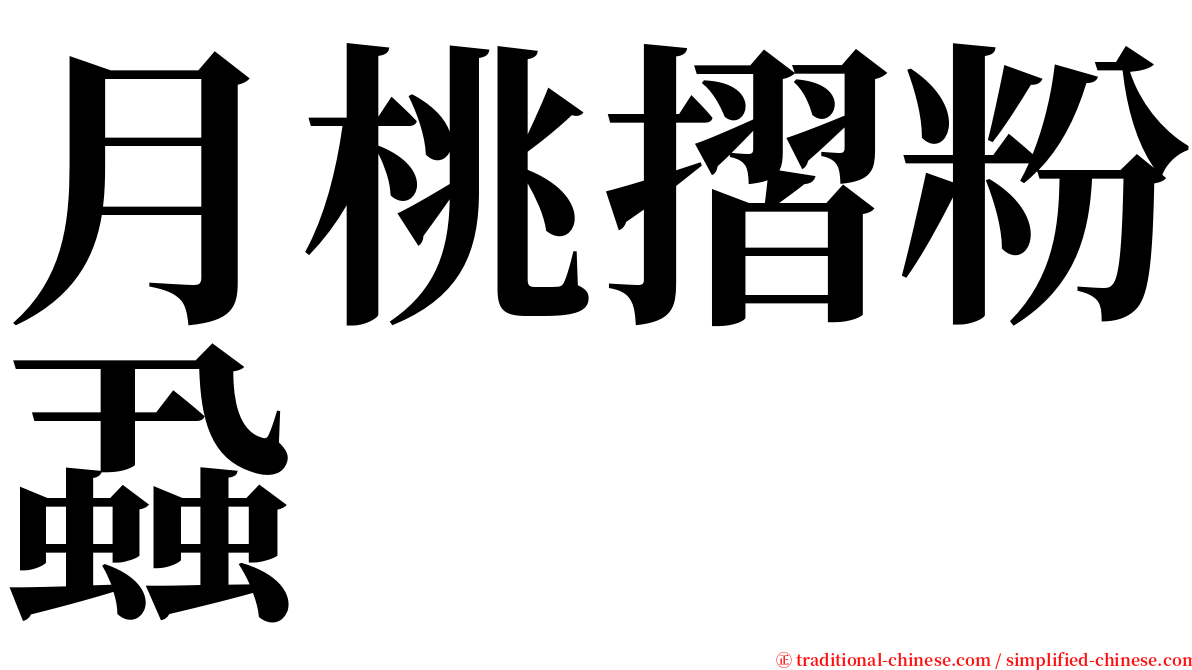 月桃摺粉蝨 serif font