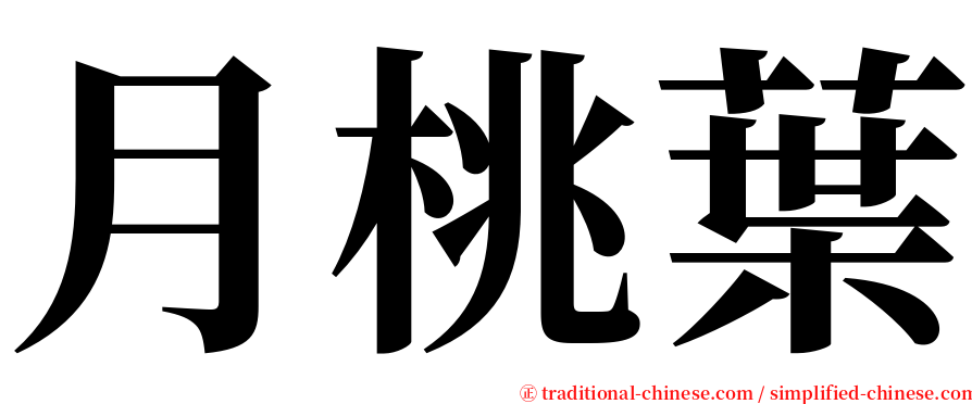 月桃葉 serif font