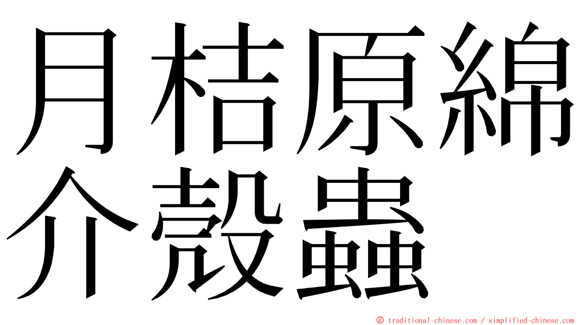 月桔原綿介殼蟲 ming font