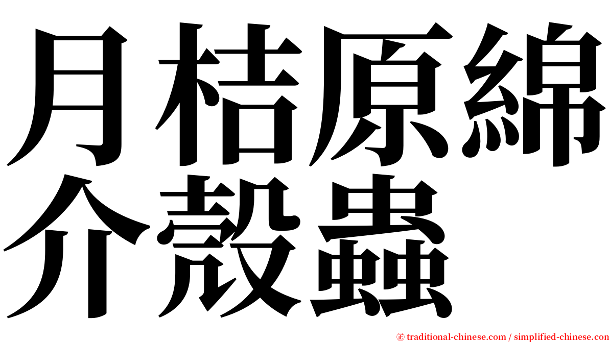 月桔原綿介殼蟲 serif font