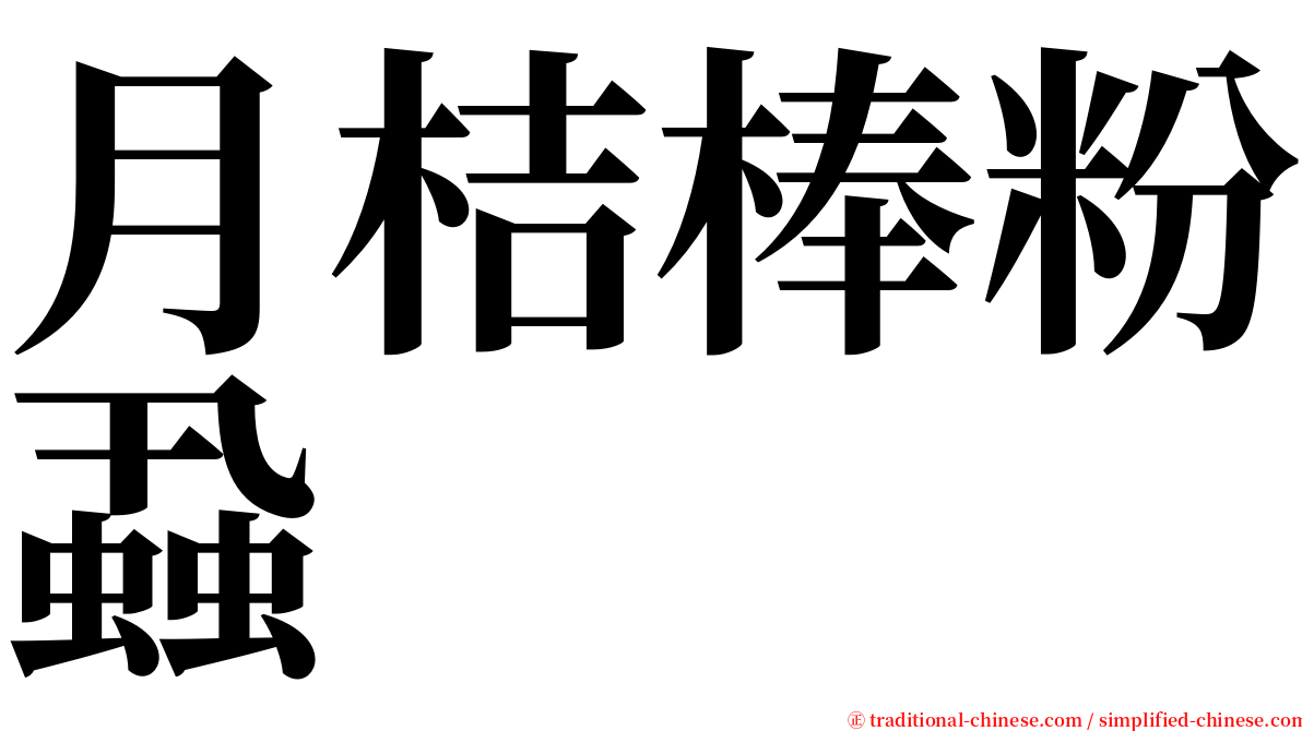 月桔棒粉蝨 serif font