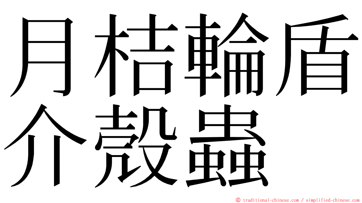 月桔輪盾介殼蟲 ming font