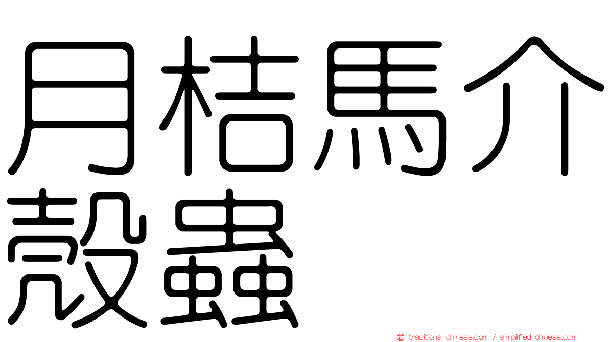 月桔馬介殼蟲