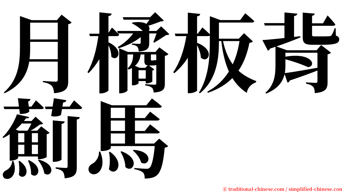 月橘板背薊馬 serif font