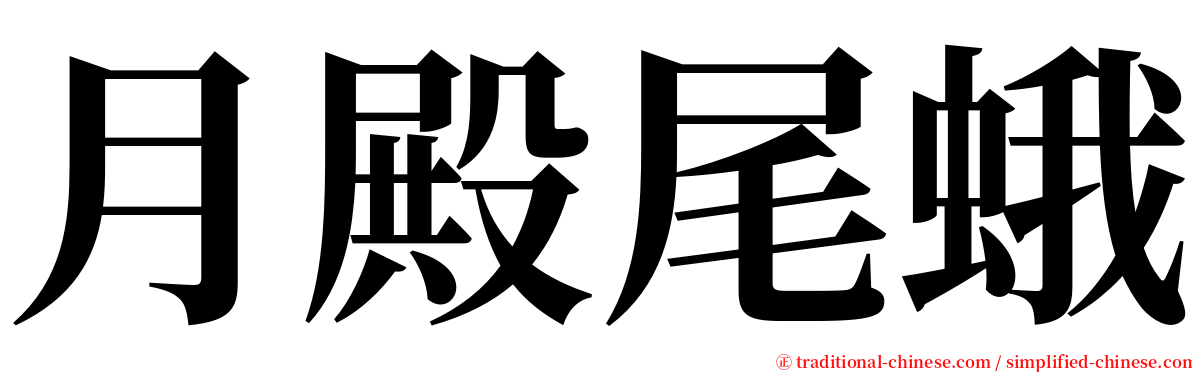 月殿尾蛾 serif font