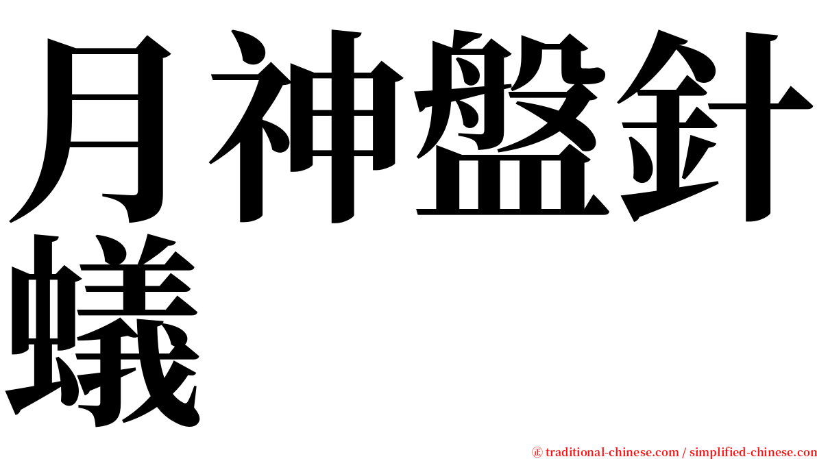 月神盤針蟻 serif font