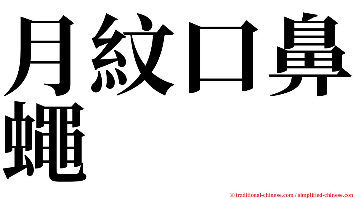 月紋口鼻蠅 serif font