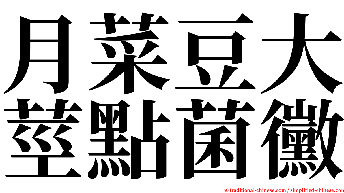 月菜豆大莖點菌黴 serif font