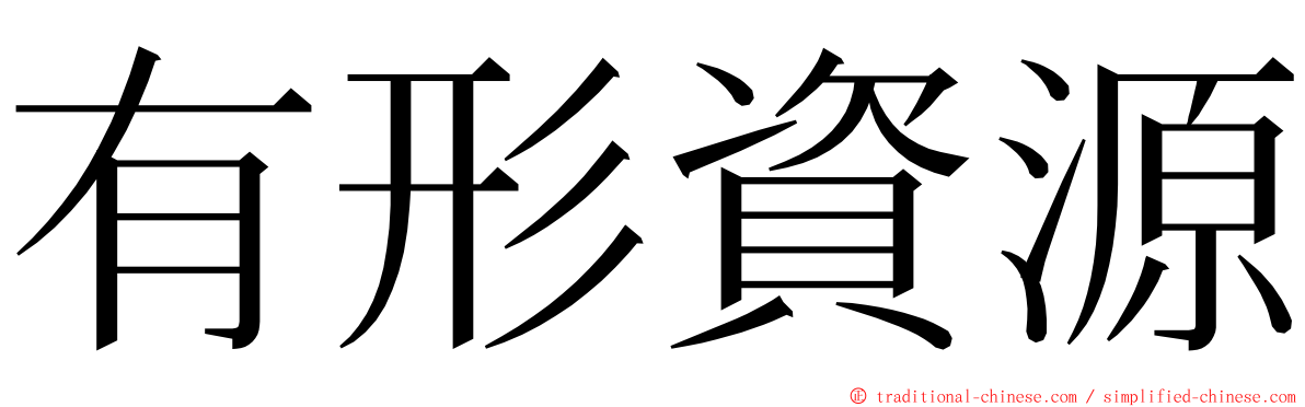 有形資源 ming font