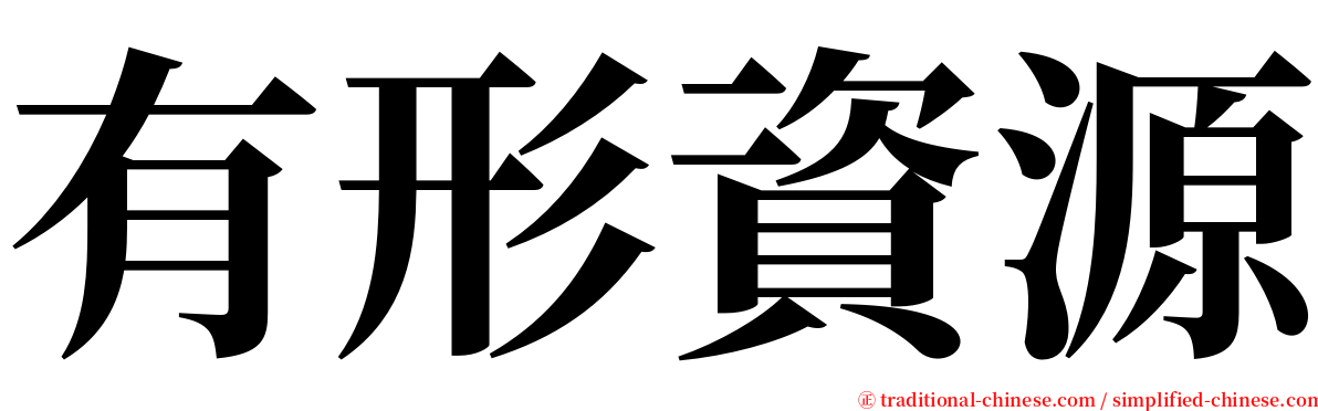 有形資源 serif font