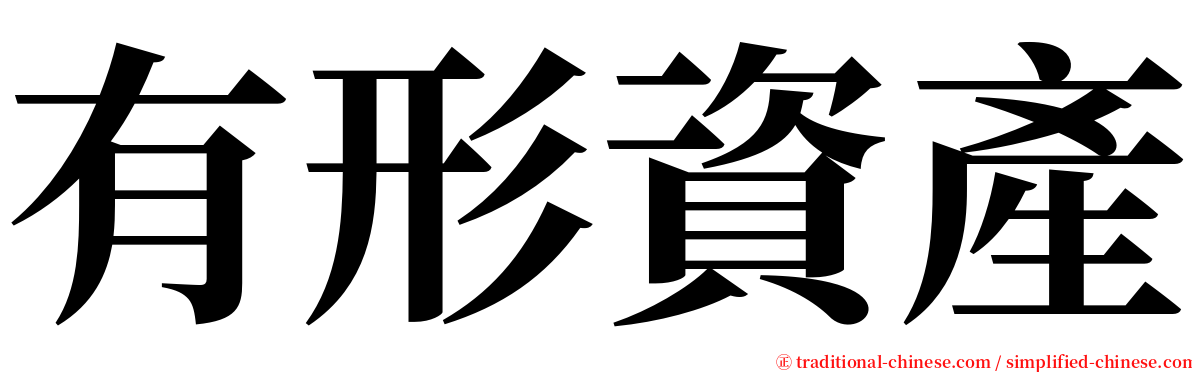 有形資產 serif font