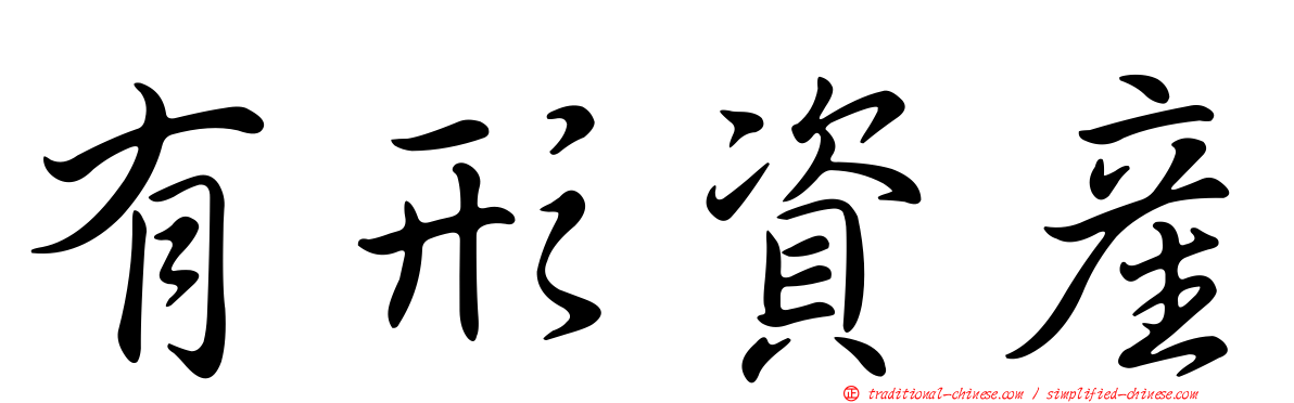 有形資產