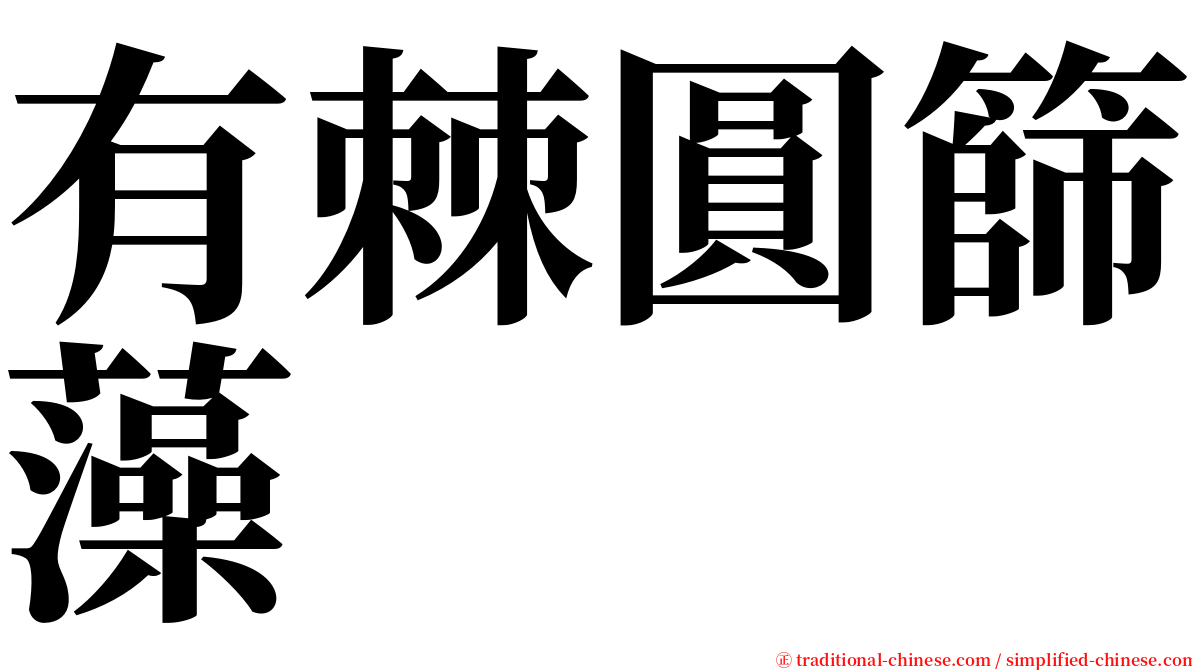 有棘圓篩藻 serif font