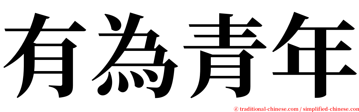 有為青年 serif font