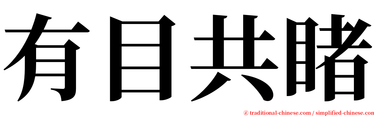 有目共睹 serif font