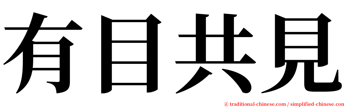 有目共見 serif font